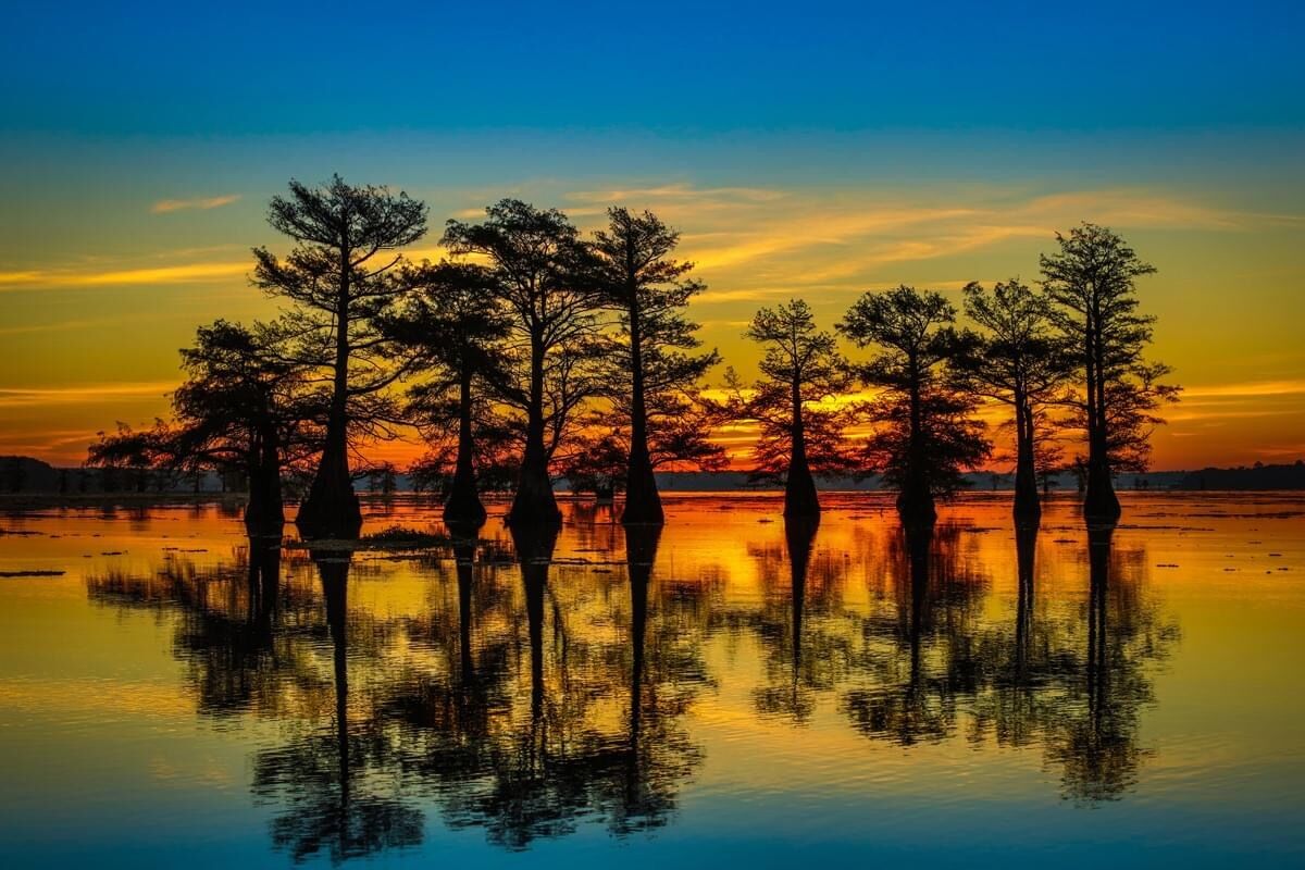caddo11